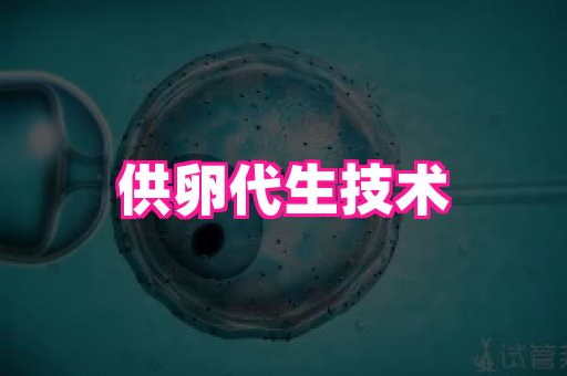 123试管孕网 4